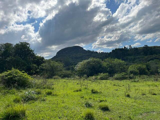 #33 - Chácara para Venda em Sapucaia do Sul - RS