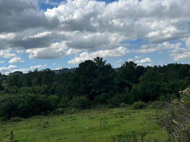 Chácara para Venda em Sapucaia do Sul - 4