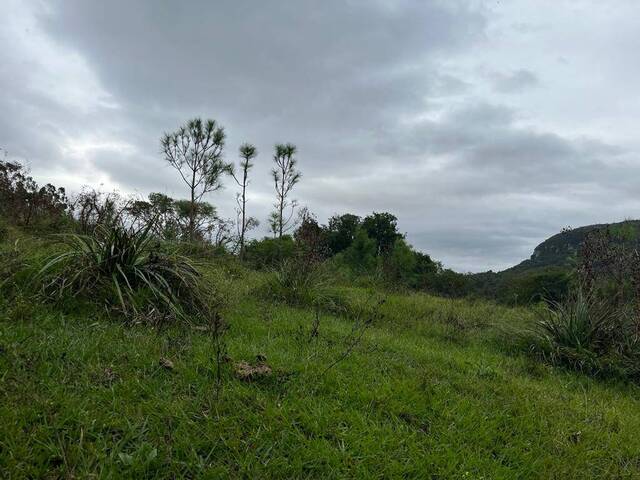 #33 - Chácara para Venda em Sapucaia do Sul - RS