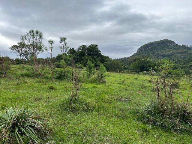 Chácara para Venda em Sapucaia do Sul - 5