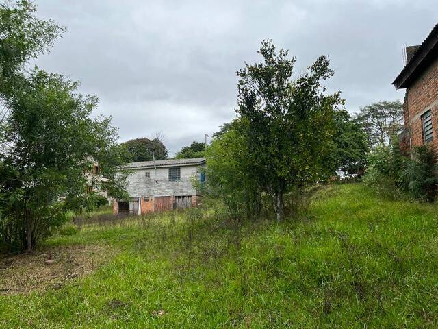 Chácara para Venda em Sapucaia do Sul - 5